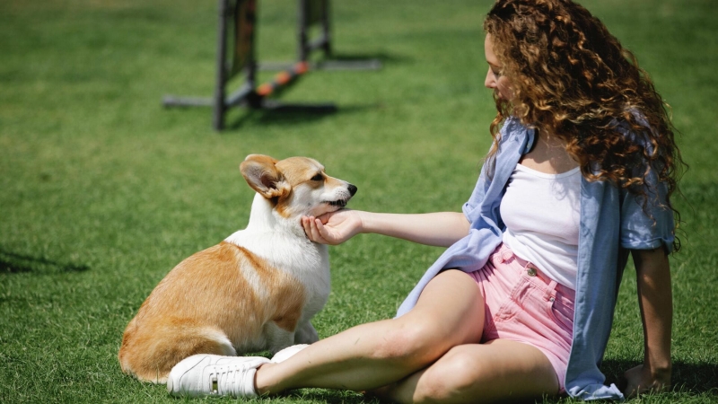 Россияне стали чаще отдыхать с животными, показало исследование