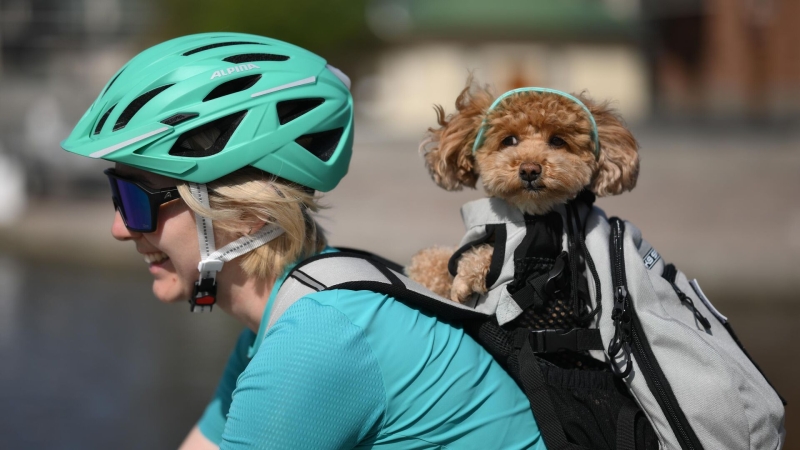 Самые классные велотуры: как готовиться, куда ехать, что смотреть 