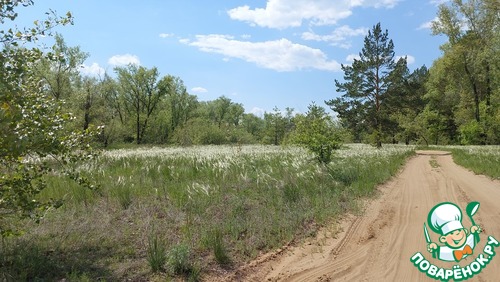 Запеченная кукуруза с фаршем индейки "Мексика"